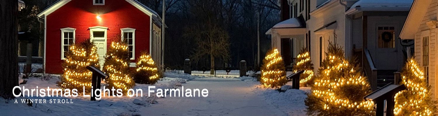 christmas-lights-ella-banner